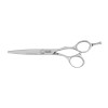 Kyone Premium 2600 knipschaar 6.0