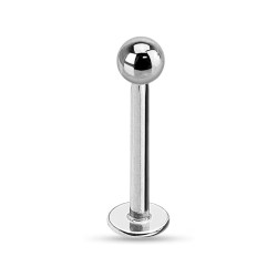 1.2 x 8 mm Titanium  labrets 100 st