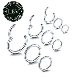 Segmentring met scharnier van titanium