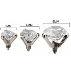 Titanium jeweled Dermal Top