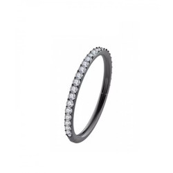 Titanium Segmentring met steen rond om zwart