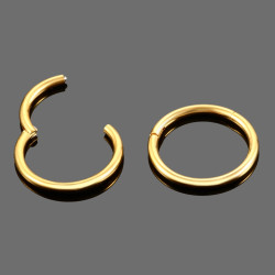 Gold color Titanium Segmentring met scharnier 