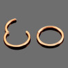 Rose Titanium Segmentring met scharnier 