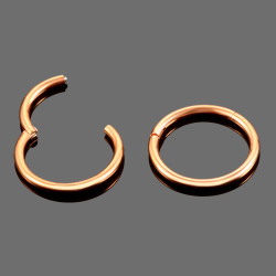 Rose Titanium Segmentring met scharnier 