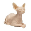 A pound of Cat