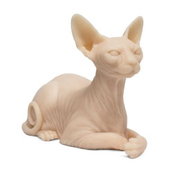 A pound of Cat