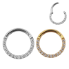 Segment ring Met Steen voor aan