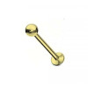 Titanium labret gold 1.2mm mixed pack 100 st