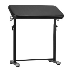 Pro Ink Professionele Tattoo Armsteun Zwart  In Hoogte Verstelbaar 68 tm 111 cm en Kantelbaar 