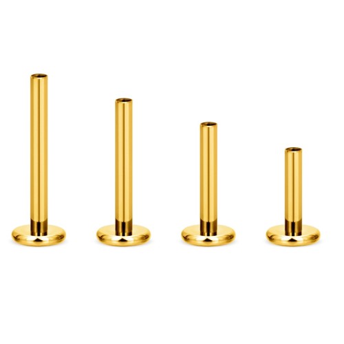 1.2 Titanium Internal Threaded Labret Zonder al zakje van 100 st