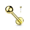 Titanium Goud Gekleurde Push Pin Labret 1.2 x 8 mm 100 stuks 