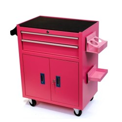 Professional - Workstation Pro - Pink